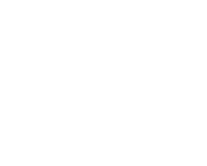 Homes for Heroes